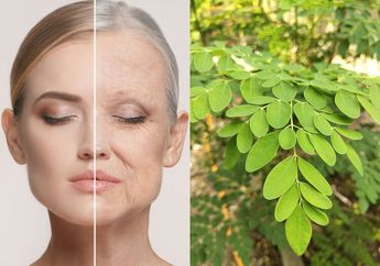 Awet Muda Sampai Tua, Rahasianya Cuma Pakai Duan Kelor yang Dibuat jadi Begini, Jauh Lebih Murah Daripada Pakai Skincare!