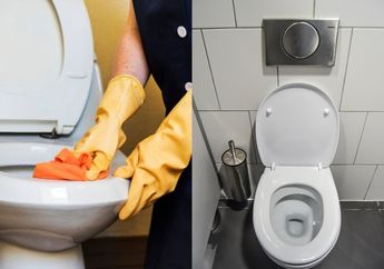 Gak Mempan Pakai Karbol, Cara Hilangkan Bau Pesing di Kloset Pakai Bahan Dapur Ini, Sekali Siram Harumnya Ngalahin Pewangi