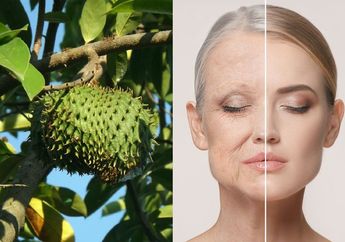 Rahasia Cantik Ada di Rumah, Kalau Mau Wajah Bebas Kerutan Sampai Tua, Tinggal Racik Saja Daun Sirsak Pakai 1 Cara Mudah Ini