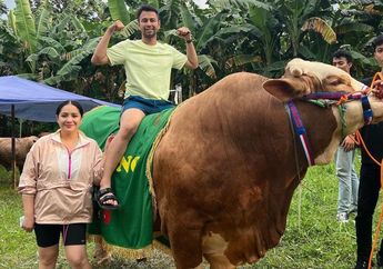 Ada Raffi Ahmad, 3 YouTuber Terkaya di Indonesia Ini Kurban Sapi di Idul Adha 2022 Hingga Dijuluki Sultan Lahir dan Batin