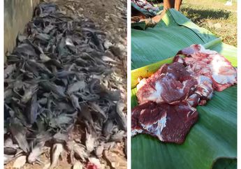 Ribuan Ikan Mati di Sungai Diduga karena Air Tercemar Jeroan Hewan Kurban, Ini Penjelasannya