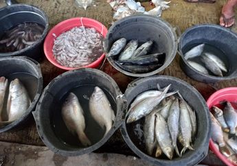Paparan Tinggi Merkuri Dalam Tubuh Bisa Sangat Berbahaya, Produk Apa Saja yang Perlu Diwaspadai?