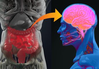 Hubungan Genetik Penyakit Alzheimer dan Gangguan Saluran Pencernaan