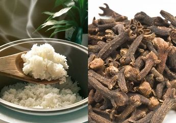 Lihat Mama Mertua Masak Nasi Pakai Cengkeh, Gak Nyangka Hasilnya Bikin BPJS Sekeluarga Nganggur Selamanya, Kok Bisa?