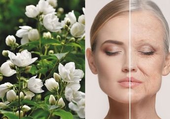 Ngapain Habis Biaya Skincare! Cukup Ambil Bunga di Pekarangan Rumah Ini Bisa Bantu Atasi Keriput yang Ada di Wajah, Dijamin Wajah Awet Muda di Depan Mata