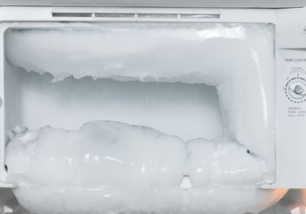 Tanpa Mematikan Kulkas, Begini Cara Membersihkan Bunga Es di Freezer Cuma Pakai Lap dan Air Panas, Bersih Tuntas dalam Waktu Singkat