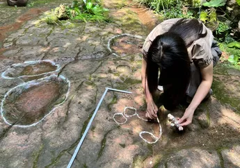 Jejak Kaki Dinosaurus 100 Juta Tahun Terlihat di Bawah Meja Restoran