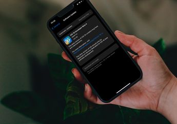 Update iOS 16 dan iPadOS 16 Developer Beta 4 Sudah Dapat Diuduh