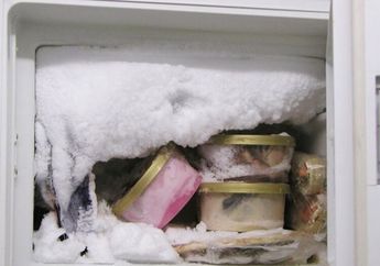 Ketahuan Juga Biang Kerok Bunga Es Sering Muncul, Ternyata Gegara Sering Taruh Makanan Ini, Jangan Dilakukan Lagi
