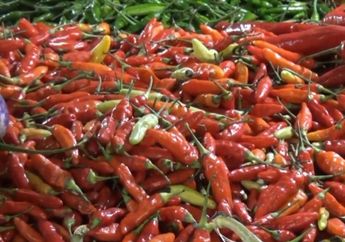 Alhamdulillah Bak Angin Segar, Harga Sembako Cabai Merah Turun di Tengah Kenaikan Harga BBM, Ini Penyebabnya!