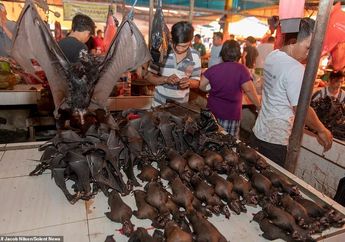 Konfirmasi Sains Terbaru: Covid-19 Berasal dari Pasar Wuhan Tiongkok
