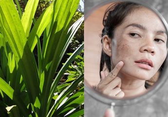 Tak Banyak yang Tahu, Modal Daun Pandan Ternyata Bisa Bikin Wajah Bebas dari Jerawat hingga Bintik Hitam