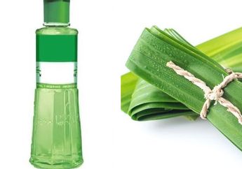 BERITA POPULER : Manfaat Semprot Minyak Kayu Putih Di Atas Kasur Sampai Manfaat Daun Pandan Untuk Wajah