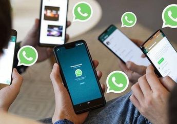 Setelah Terdaftar PSE, Bisa Nggak Ya Kominfo Intip Isi Chat Whatsapp Kita?