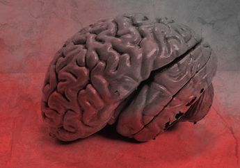 Pikiran Bawah Sadar yang Misterius