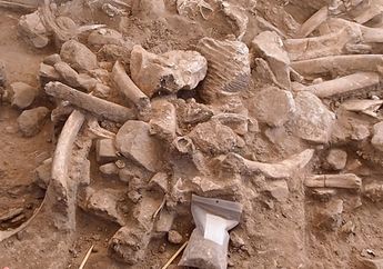 Selidik Tulang Mamut yang Disembelih Manusia 37.000 Tahun yang Lalu