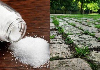 TANPA Semprotan Gulma, Rumput Liar Depan Rumah Langsung Layu dan Mati, Modal Garam Saja, Cobain Deh