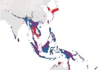 Dunia Hewan: Peta Global Biodiversitas Semut Mengungkap Area Misteri
