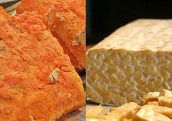 Cuma Modal Makan Oncom dan Tempe, Ternyata Bisa Jadi Obat Alami Penyakit Jantung, Tak Perlu Bolak Balik Rumah Sakit Terus