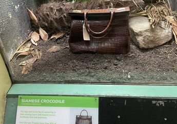Pameran Buaya oleh Kebun Binatang London Hanya Menampilkan Tas Tangan