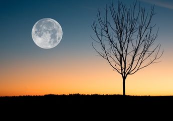 Gerakan Bulan: Pengertian, Jenis, dan Fase-fasenya yang Terjadi di Bumi