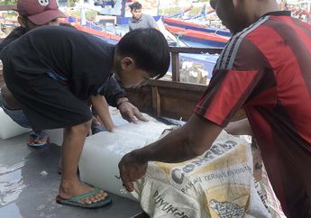 Jejak Smart City di Inovasi Lelang Ikan Online Nelayan Trenggalek