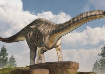 Hewan Darat Terbesar, Bagaimana Dinosaurus Menopang Tubuh Raksasanya?