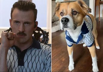 Chris Evans Cosplay-in Anjingnya Jadi Karakter Lloyd di The Gray Man!