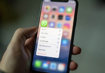 Cara Memperbaiki Whatsapp yang Tidak Bisa Dibuka, Pantas Ternyata ini Sebabnya