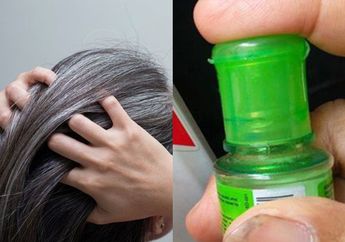 Rambut Hitam Bak Muda Lagi, Modalnya Oleskan Saja Minyak Kayu Putih Bisa Libas Uban hingga Ke Akar, Intip Caranya Yuk
