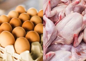 Imbas Harga Sembako Telur Ayam Melonjak Naik, Harga Sembako Daging Ayam Juga Ikut Naik hingga Pasokan Menurun Drastis, Pedagang Menduga Ini Penyebabnya!