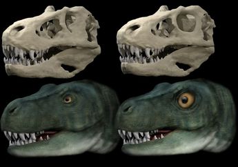 Mengapa Dinosaurus Karnivora Memiliki Mata Elips dan Lebih Kecil?