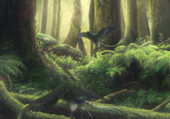 Dunia Hewan: Paleontolog Menemukan Burung Pemakan Buah Paling Awal