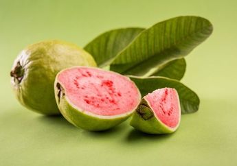 Cuma Petik Daun Jambu Biji di Pekarangan Rumah, Masalah Kulit dari Jerawat Sampai Keriput Hilang Dalam Sekejap!