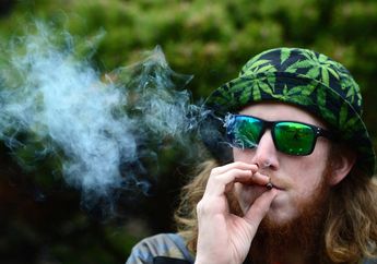 Ganja Medis Makin Tidak Jelas, Tidak Ada Pedoman Klinis tentang Dosis