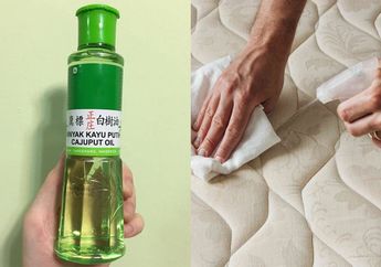 Diluar Dugaan! Iseng Semprot Minyak Kayu Putih ke Kasur Ternyata Bakal Membawa Hasil yang Mengejutkan, Setelah Coba Pasti Ketagihan