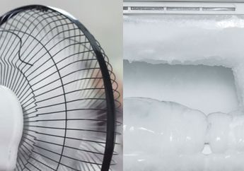 Buka Pintu Kulkas Malah Buang-buang Waktu, Bunga Es Di Freezer Langsung Meleleh Cuma Pakai Kipas Angin, Berasa Beli Kulkas Baru