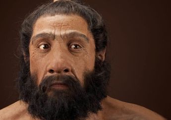 Studi Tengkorak Kuno Singkap Kawin Silang Manusia dengan Neanderthal