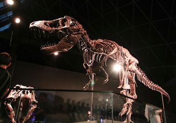 Inilah Velociraptor "Jurassic Park" yang Terjual Rp 183 Miliar