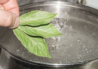 Jangan Mau Bergantung Terus Dengan Obat! Cukup Dengan Air Rebusan Daun Salam dan Bahan Ini Bisa Bikin Asam Lambung Minggat Seketika