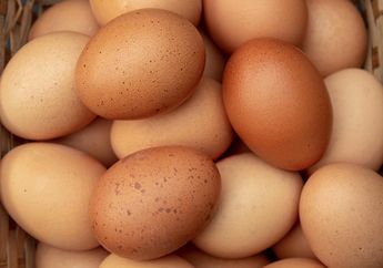 STOP Dulu! Orang dalam Kondisi Ini Mending Jangan Konsumsi Telur, Walau Enak Malah Bisa Bikin Masuk Rumah Sakit