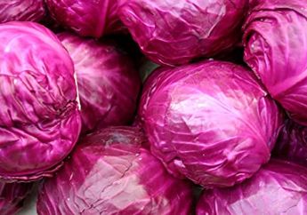 Salah Satu Sayuran Paling Sehat, Ini 7 Khasiat Kol Ungu Bagi Kesehatan