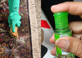 Tanpa Repot Dicuci, Begini Cara Rontokkan Noda Membandel di Karpet Hanya Bermodal Minyak Kayu Putih, Bersih Kinclong Seketika!