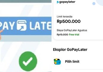 Apakah Pendaftaran Gopay Paylater Aman? Perhatikan Dulu Hal-Hal Berikut!