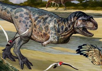 Spesies Baru Dinosaurus Theropoda Abelisaurid Ditemukan di Patagonia
