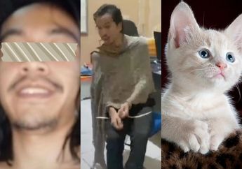 Viral di Media Sosial, Begini Pengakuan Pelaku Sembelih Kucing Hamil dan Terancam Penjara 9 Bulan