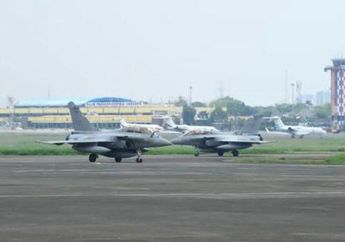 Rafale yang Dibeli NKRI Punya Kelebihan Sendiri, Ini Otaknya yang Bisa Bikin Sayap Kanard Belakang Menyesuaikan Diri, Pilot Ambil Keputusan Tergantung Situasi