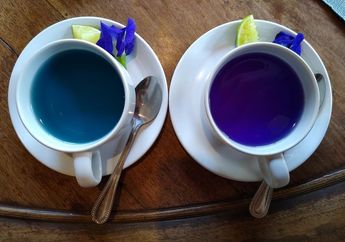 Warnanya Ungu tapi Bukan Terong, Bahan Ini Juga Punya Manfaat yang Tidak Kalah Ampuh, Bisa Jadi Tips Hidup Sehat Cuma dengan Merebusnya!