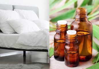 Gak Sengaja Semprot Minyak Kayu Putih di Atas Kasur, Besok Paginya, Wanita Ini Jadi Sering Bangun Siang, Kok Bisa?
