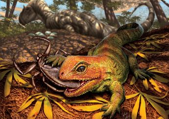 Penemuan Reptil Prasejarah yang Hidup di Antara Dinosaurus di Wyoming